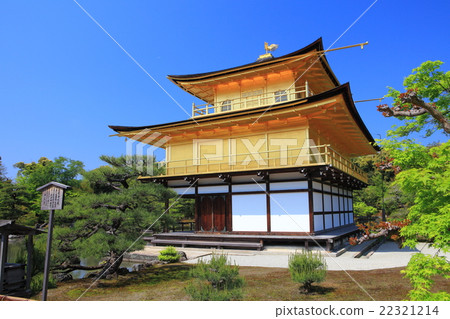 Fresh green Kinkaku · Kaenji 22321214