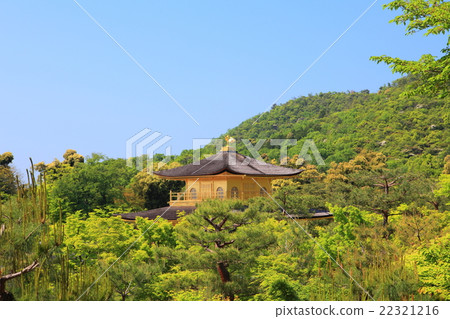 Fresh green Kinkaku · Kaenji 22321216