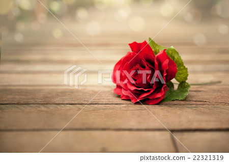Rose  lying down on a wooden floor 22321319