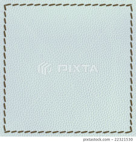 leather texture background with seam 22321530