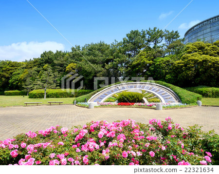 米和花鐘 5月 千葉縣千葉市 稻川shi濱公園 三洋媒體花博物館 千葉市花卉博物館 照片素材 圖片 圖庫