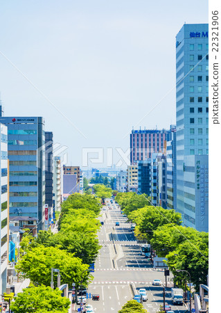 仙台,新鮮的綠色宮城大道 仙台,新鮮的綠色宮城大道 22321906