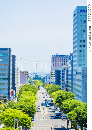 Sendai, Fresh green Miyagino Boulevard Sendai, Fresh green Miyagino Boulevard 22321909