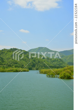 新鮮的綠色水壩和山 22322164