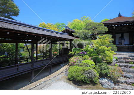 Ninna-ji temple spirit development Ninna-ji temple spirit development 22322600