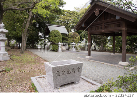 Yayoi Shomo 22324137