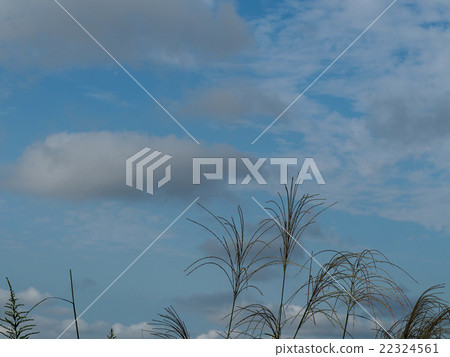 秋天的風景 秋天的風景 22324561