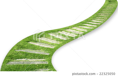 path on a garden surrounded grass path on a garden surrounded grass 22325050