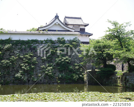 Fukuoka Castle Ruins 22325850