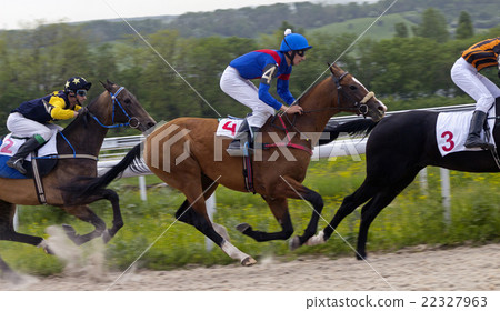 Horse racing in Pyatigorsk. Horse racing in Pyatigorsk. 22327963