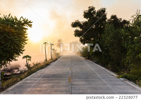Grass beside the fire, which caused a strong wind Grass beside the fire, which caused a strong wind 22328077