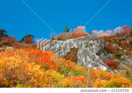 Fujisato Town, Akita Prefecture Fishing Vase Pass 22328700