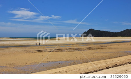 Sandy beach in the Awaroa Inlet 22329060