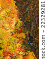 Miyagi Prefecture Osaki City Naruko Gorge 22329281