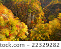 Miyagi Prefecture Osaki City Naruko Gorge 22329282