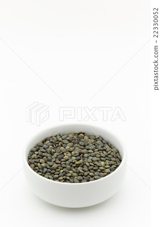 法國綠扁豆：法國綠扁豆 22330052