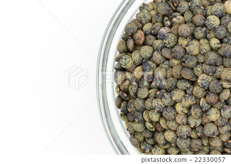 法國綠扁豆:法國綠扁豆 法國綠扁豆:法國綠扁豆 22330057