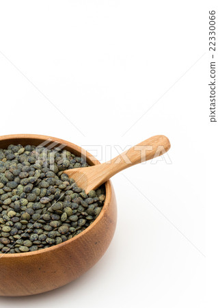 法國綠扁豆:法國綠扁豆 法國綠扁豆:法國綠扁豆 22330066