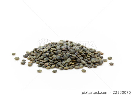 法國綠扁豆：法國綠扁豆 22330070
