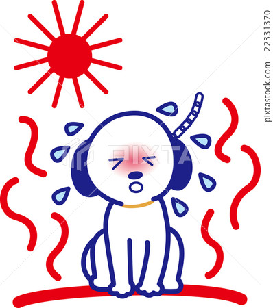 熱帶障礙的狗寵物夏天星期天 22331370