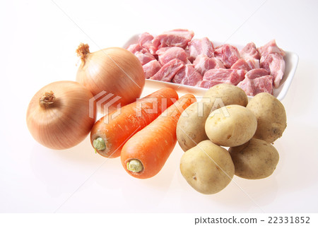 Curry, ingredients of stew (pork, potato, carrot, onion) 22331852