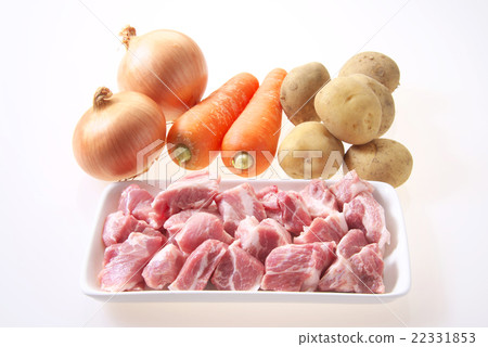Curry, ingredients of stew (pork, potato, carrot, onion) 22331853