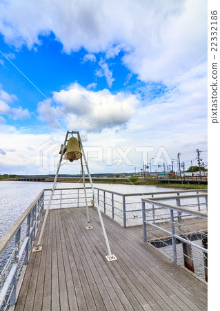 Aomori prefecture Rokkasho village wild bird observation park Swan flying land Aomori prefecture Rokkasho village wild bird observation park Swan flying land 22332186