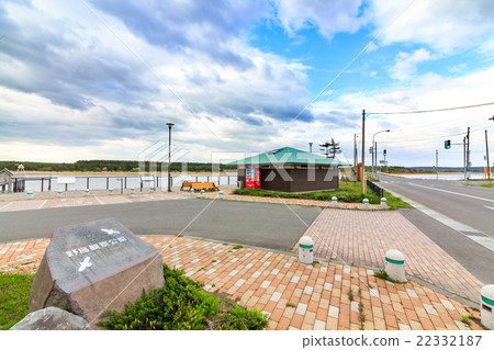 Aomori prefecture Rokkasho village wild bird observation park Swan flying land 22332187