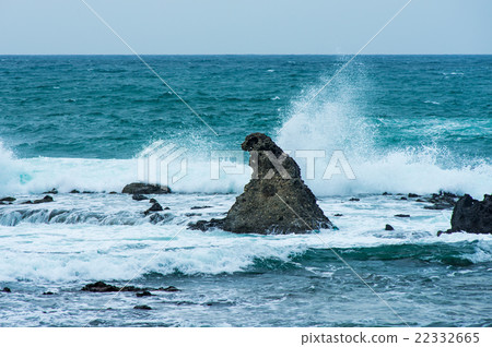 Godzilla Rock 22332665