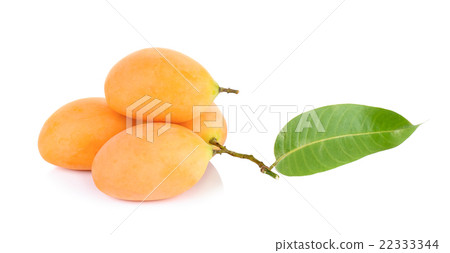 Marian plum thai fruit isolated on white 22333344