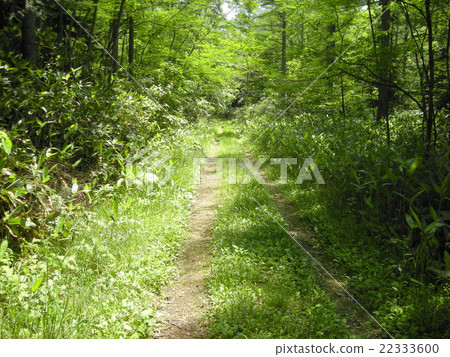 Mountain road Mountain road 22333600