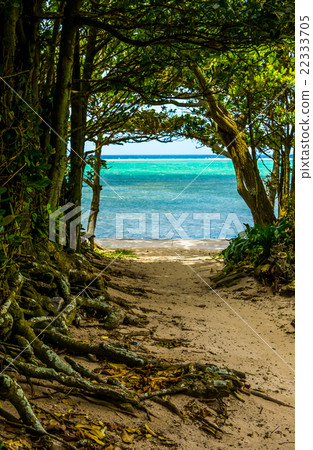 沖繩海 沖繩海 22333705