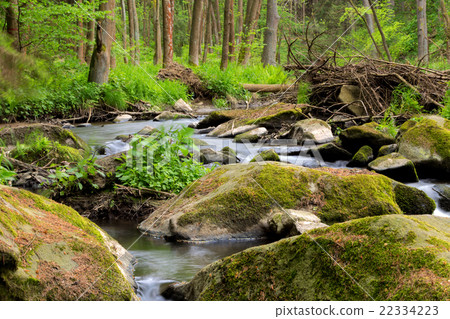 small wild river in Bohemian forest 22334223