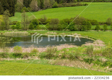 Beautiful summer rural landscape 22334236