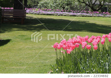 開花的公園 22334692
