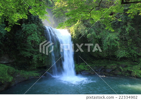 Fresh green Jion Falls (Kusu Town, Amase Town, Oita Prefecture) 22334902