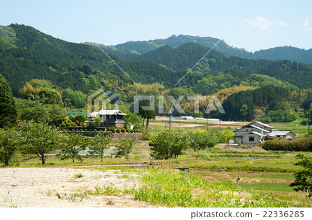 Fresh green asuka scenery Fresh green asuka scenery 22336285