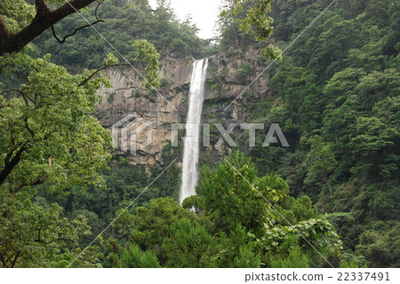 Nachi的瀑布（和歌山縣東牟婁郡Nachikatsura-cho） 22337491