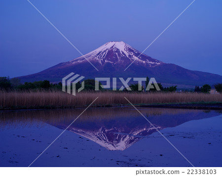 Oshino Fuji Oshino Fuji 22338103