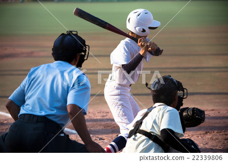 棒球/蝙蝠 22339806