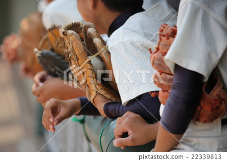 Baseball · Bench Baseball · Bench 22339813