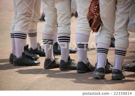 Baseball · Bench Baseball · Bench 22339814