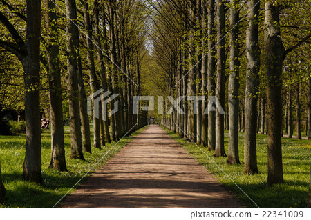 French garden in Celle 22341009