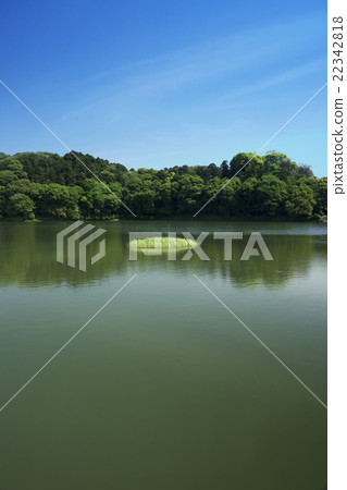 Nara Spring Landscape Chopsticks Grave blue sky Nara Spring Landscape Chopsticks Grave blue sky 22342818