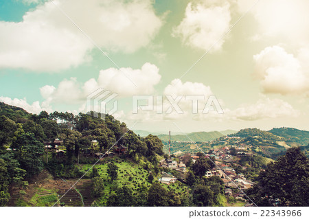 Small village in Doi Mae Salong mountain 22343966
