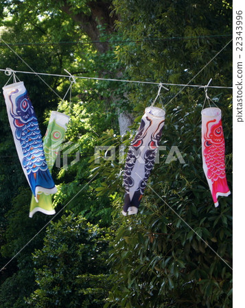 Koinobori of Kumano Shrine Koinobori of Kumano Shrine 22343996