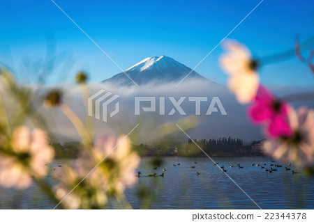 Mountain Fuji and Kawaguchiko lake Mountain Fuji and Kawaguchiko lake 22344378