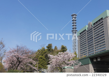 東京國防部的櫻花盛開 東京國防部的櫻花盛開 22348329