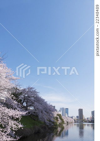 Sakura sightseeing from Tokyo Ichigaya Exterior Cherry Blossoms in full bloom in the direction of Iidabashi Sakura sightseeing from Tokyo Ichigaya Exterior Cherry Blossoms in full bloom in the direction of Iidabashi 22348489