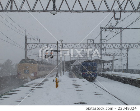 Snow flying，485系列Thunderbird和24系列Nihonkai共同主演Omihumko站 22349324